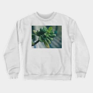 Money Tree Crewneck Sweatshirt